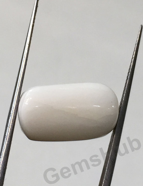11.25 ratti/10.17 ct Natural Certified  White Coral/सफ़ेद मूंगा